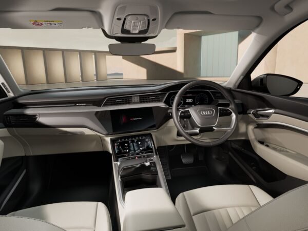 Audi Q8 SUV e-tron 55 TFSI - Hình ảnh 8