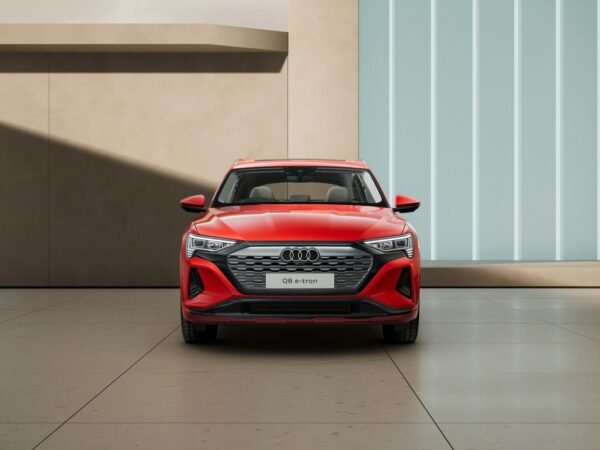 Audi Q8 SUV e-tron 55 TFSI - Hình ảnh 2