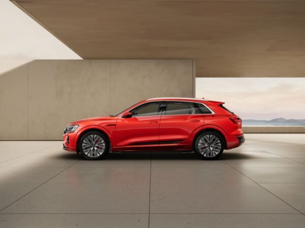 Audi Q8 SUV e-tron 55 TFSI - Hình ảnh 7