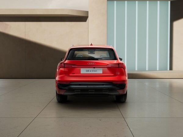 Audi Q8 SUV e-tron 55 TFSI - Hình ảnh 6