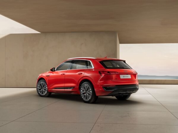 Audi Q8 SUV e-tron 55 TFSI - Hình ảnh 5